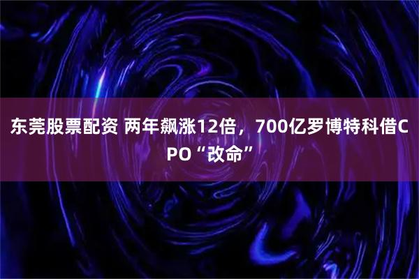 东莞股票配资 两年飙涨12倍，700亿罗博特科借CPO“改命”